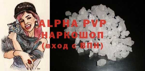 СК Белая Холуница